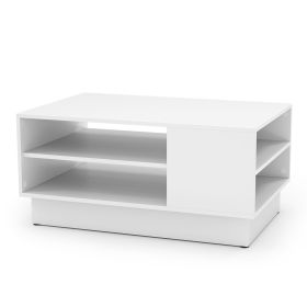 Modern Coffee Table with 2-Tier Open Storage Shelves